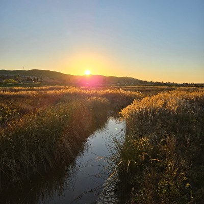 Lazaro Robles Arias post 3