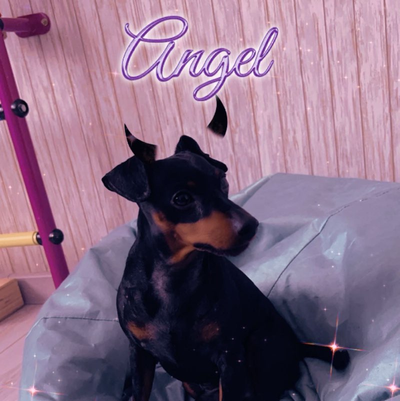 Харитонова Диана ПКБ ЦТ profile