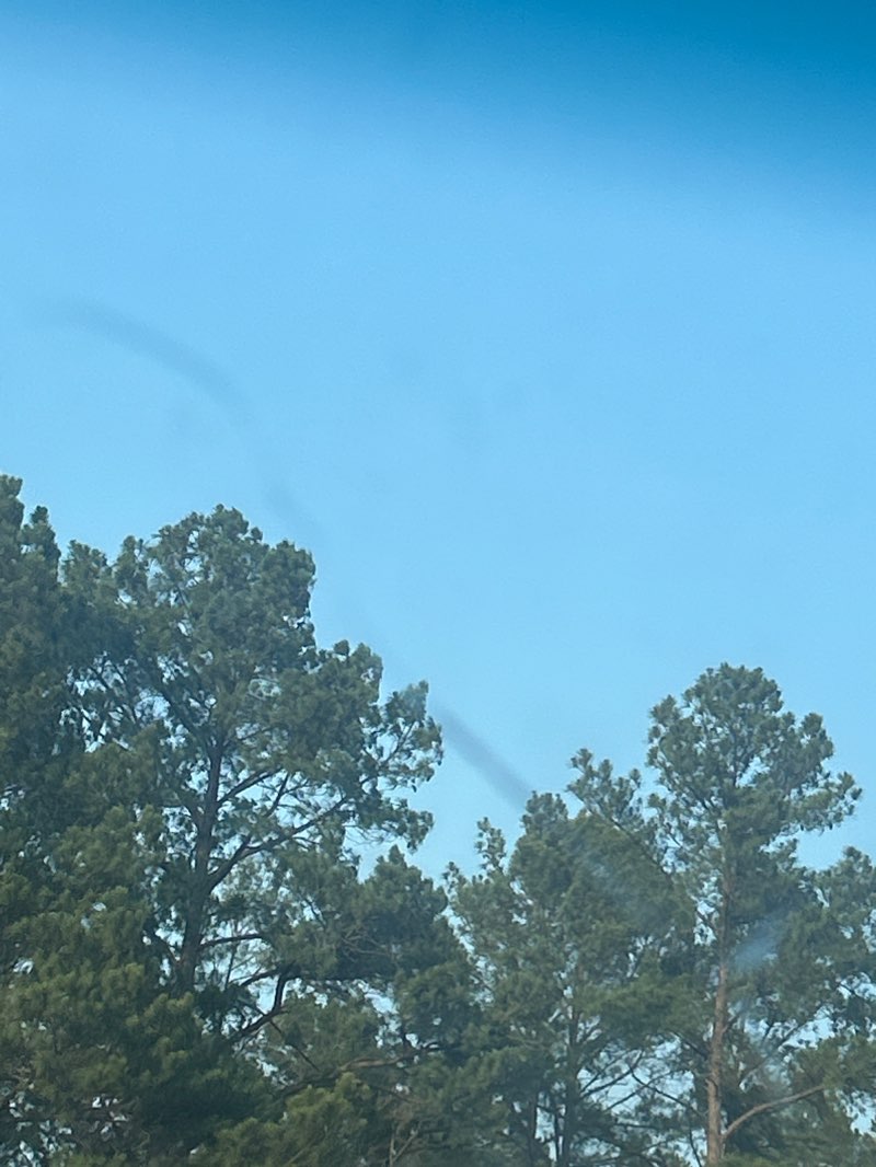 walking near me in Natchez Trace Trail in winter