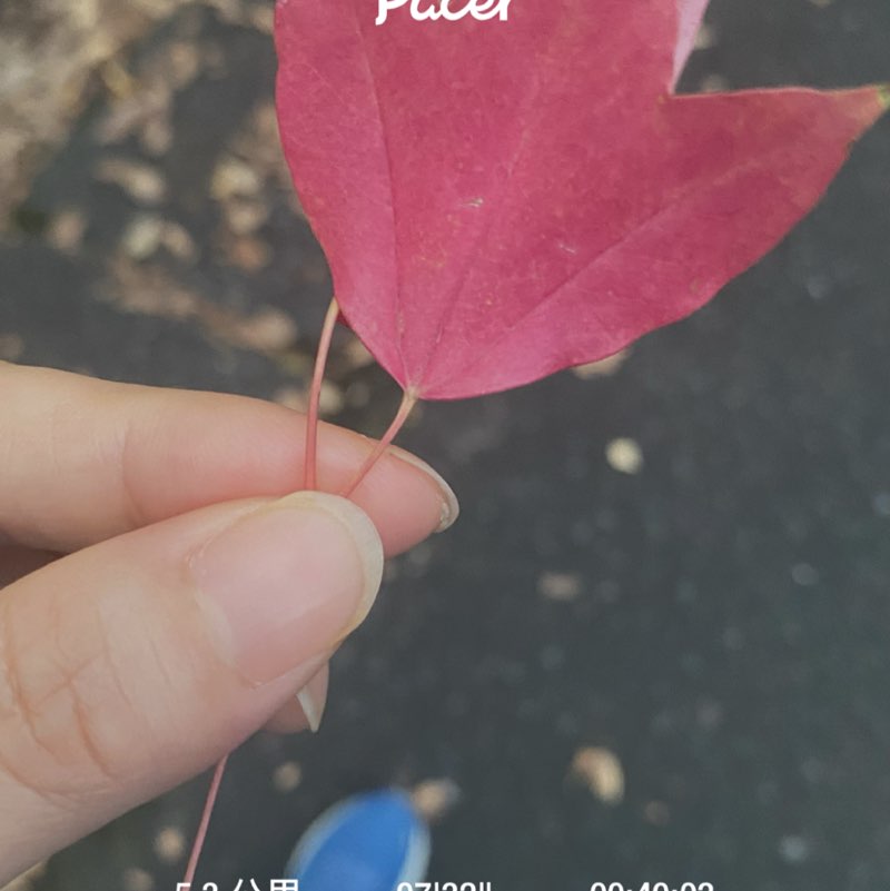 Terado Yumi post 1