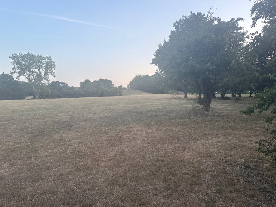 walking near me in Markhams Chase Park in summer