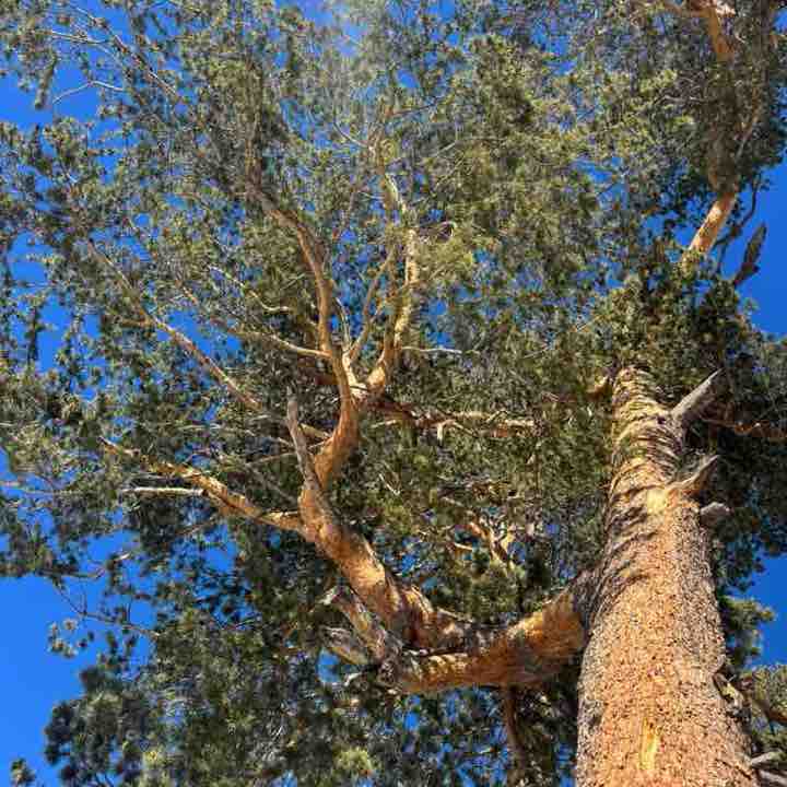 Ходьба вместо лекарств Дидишка post image