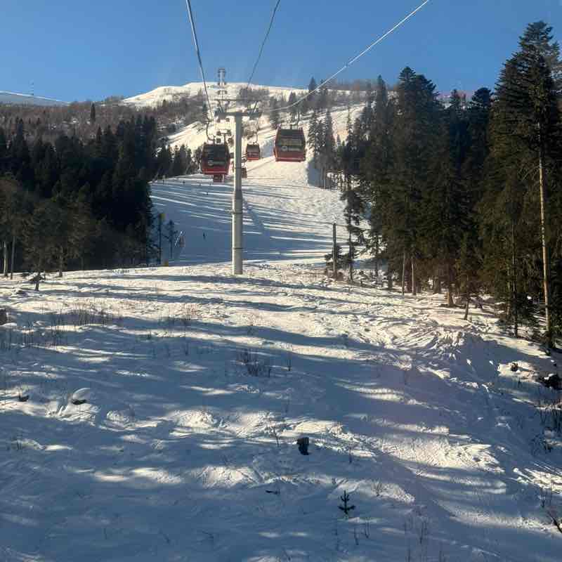 Ходьба вместо лекарств Дидишка post image