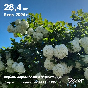 Марина Коркина, ВС РДЖВ