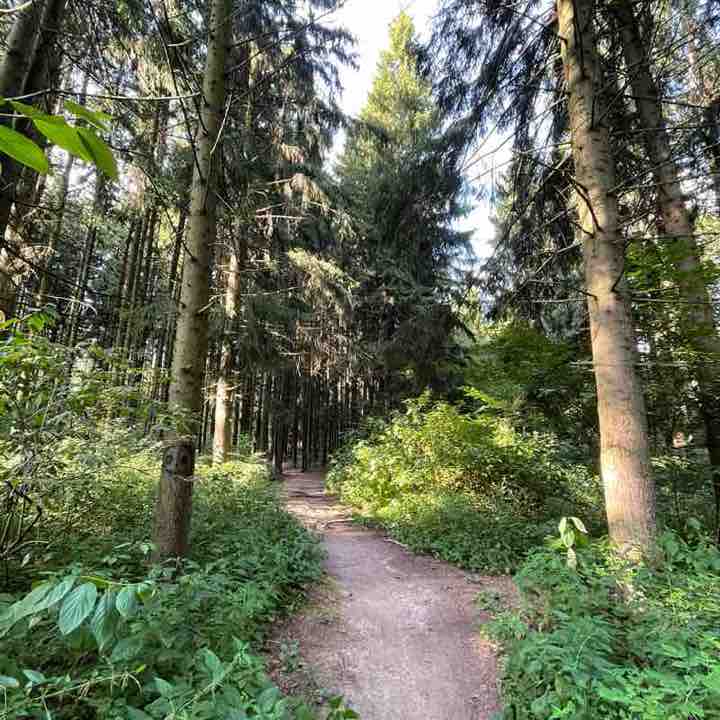 Anton Póminov post 2