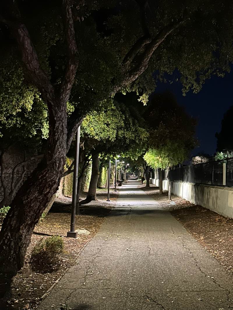 walking near me in Bart Linear Park in autumn
