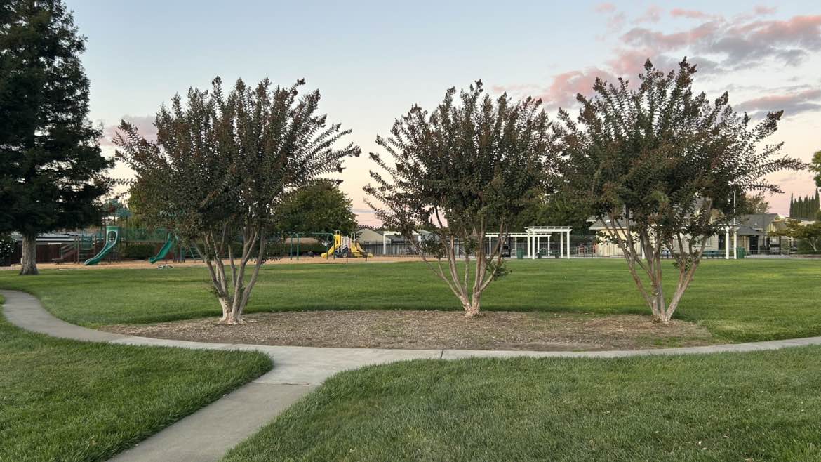 walking near me in Holbrook Heights Community Park in autumn