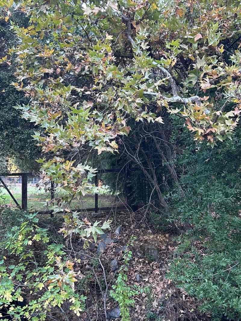 walking near me in John Muir National Historic Site in autumn
