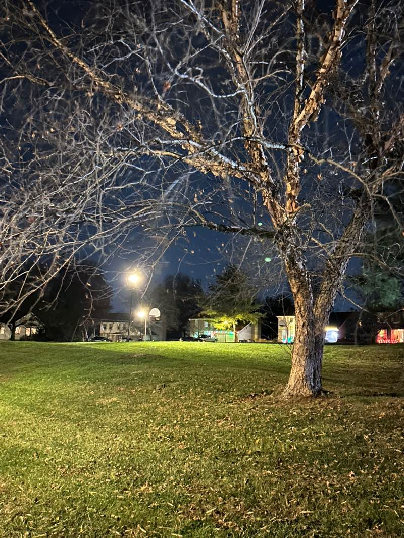 walking near me in Schrader Farm Park in autumn