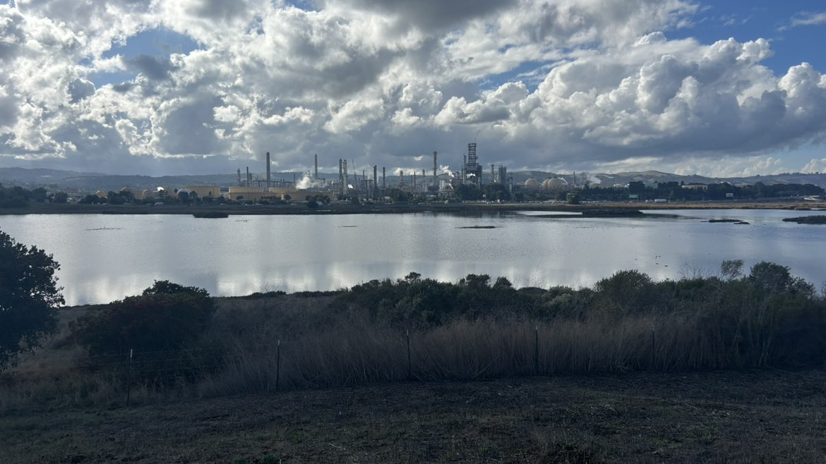 walking near me in Waterbird Regional Preserve in autumn