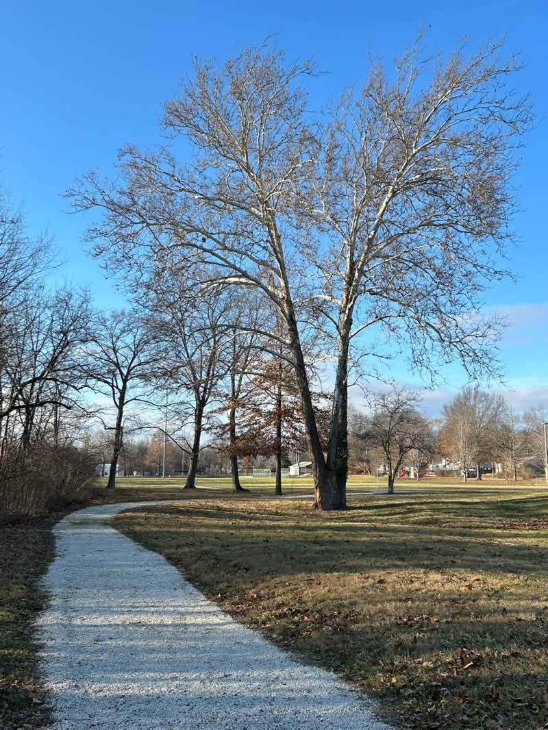 walking near me in Ruge Park in winter