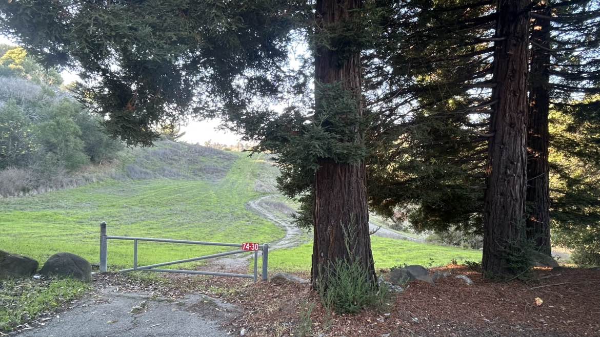 walking near me in Stewart Draw Park in winter