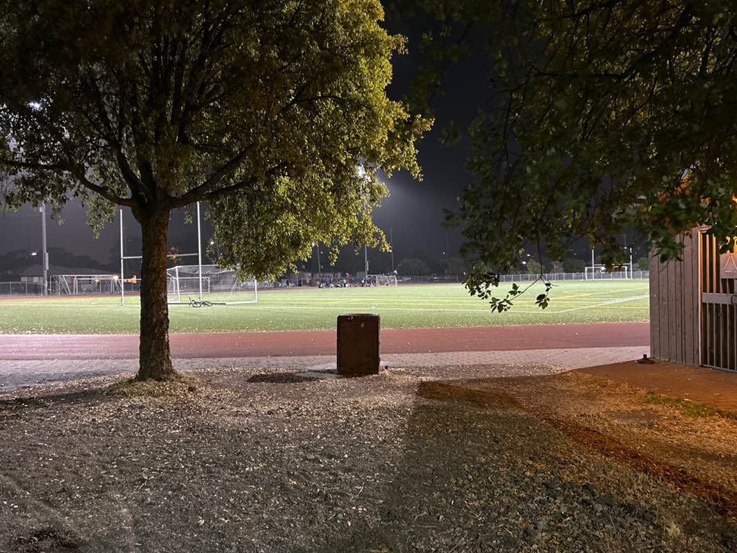 walking near me in Martin Luther King Memorial Park in spring