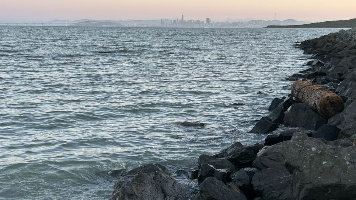 walking near me in Richmond Bay  Trail in spring