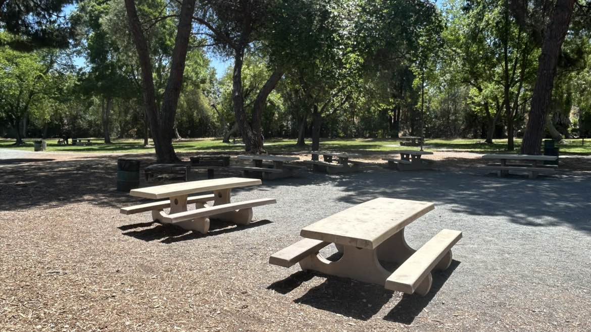 walking near me in Ygnacio Valley Park in spring