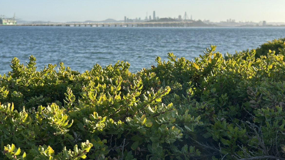 walking near me in Davenport Mini Park in summer