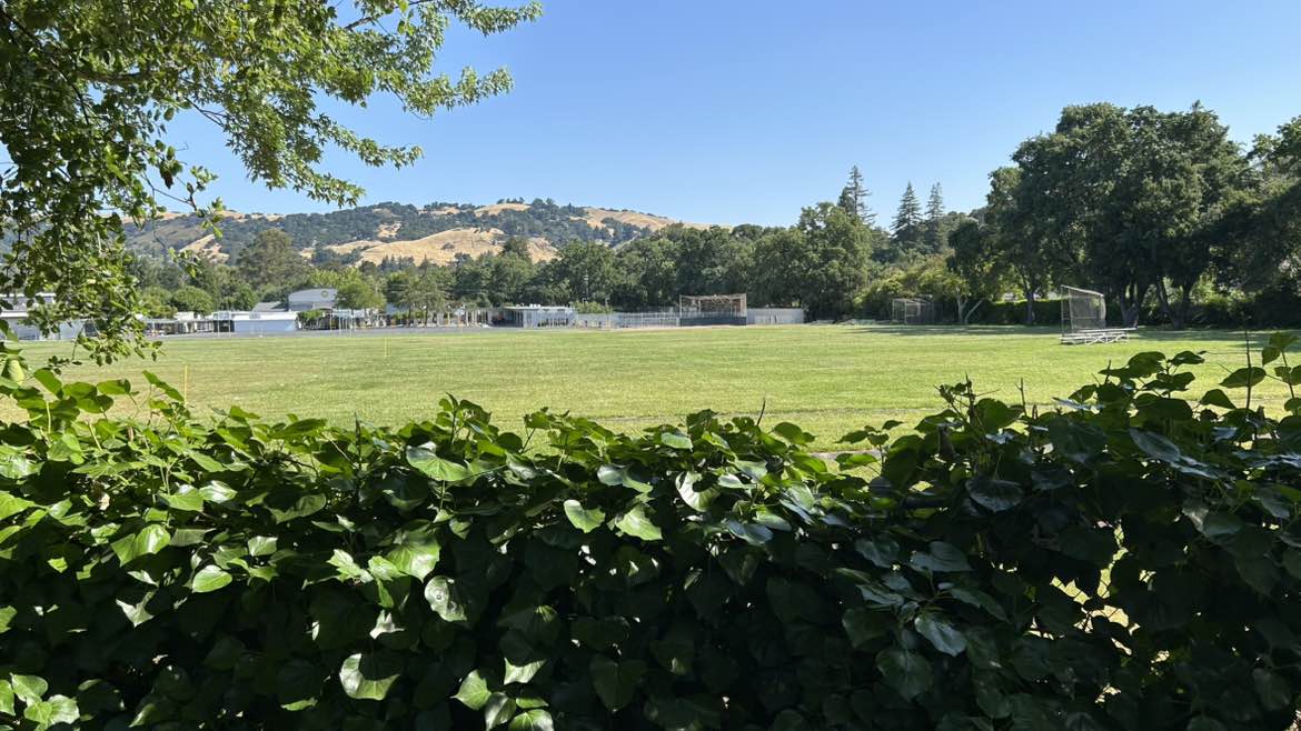 walking near me in Stanley Park in summer