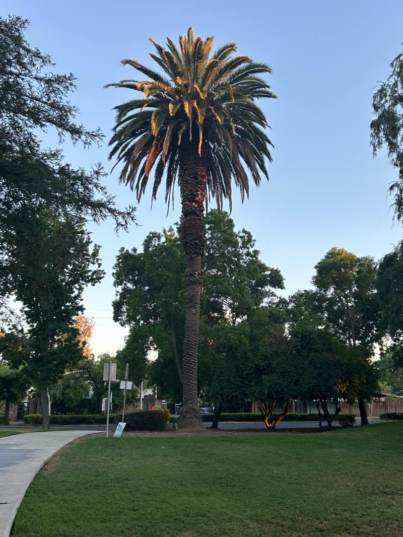 walking near me in Pleasant HIll Park in summer