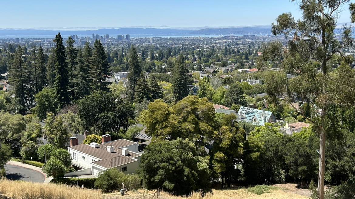 walking near me in Claremont Canyon Regional Preserve in summer