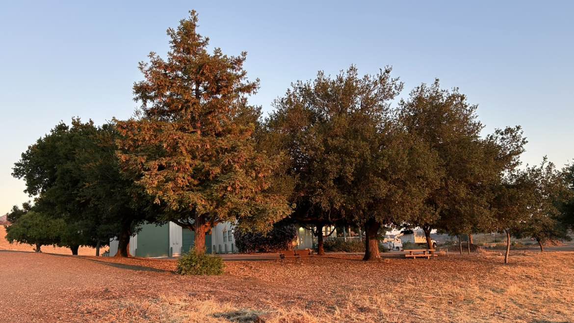 walking near me in Lime Ridge Trail Head in summer