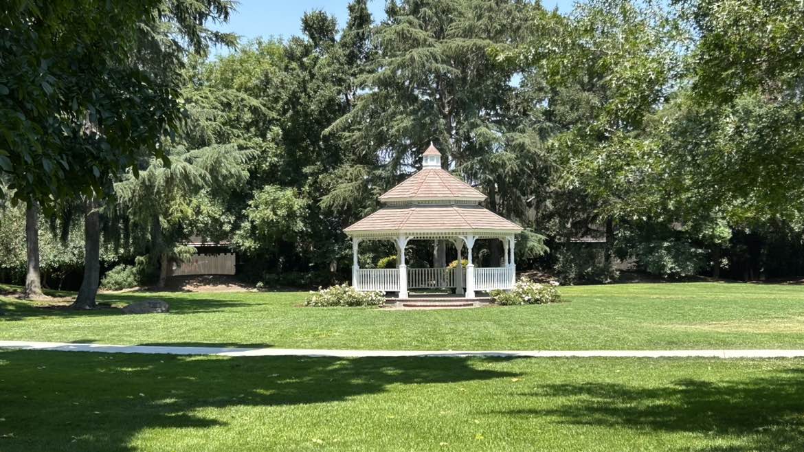 walking near me in Frank Salfingere Park in summer