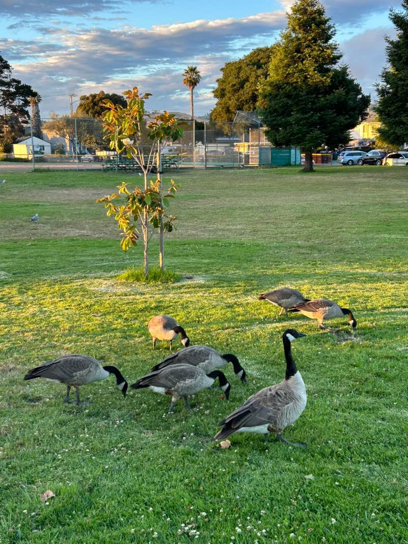 walking near me in John F Kennedy Park in autumn