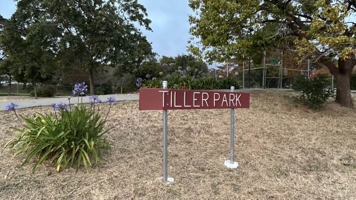 walking near me in Tiller Park in summer