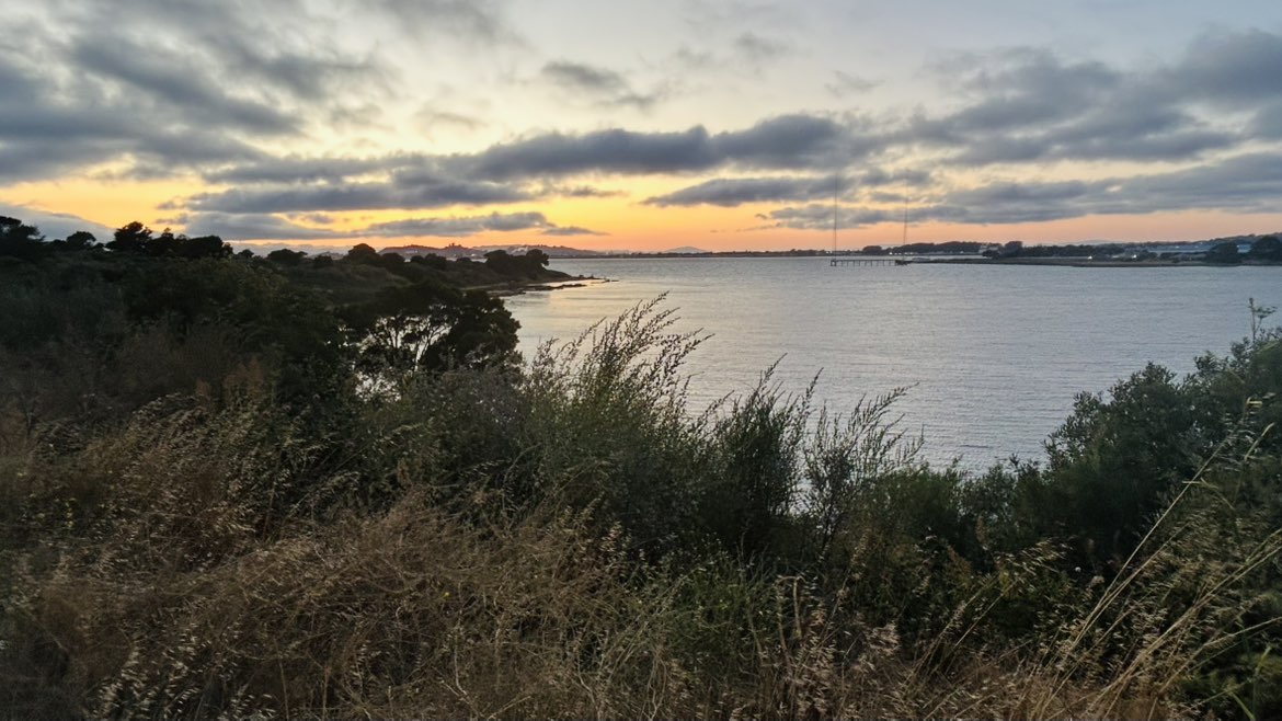 walking near me in Albany Neck in summer