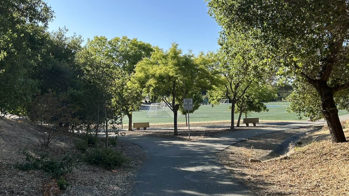 walking near me in Hidden Lakes Park in summer