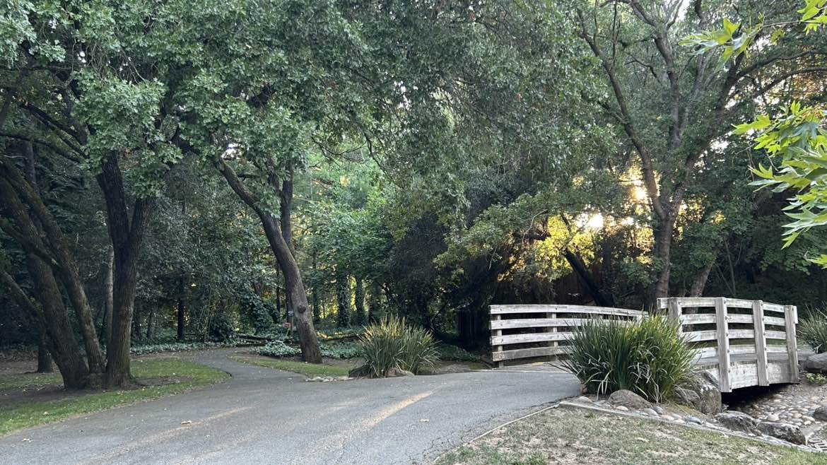 walking near me in Shannon Hills Park in summer