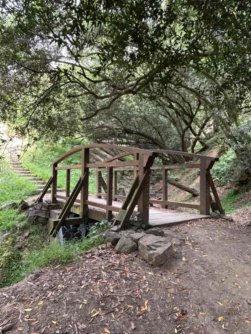 walking near me in Shepherd Canyon Park in summer
