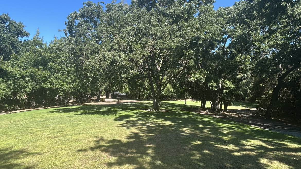 walking near me in Brookwood Park in autumn