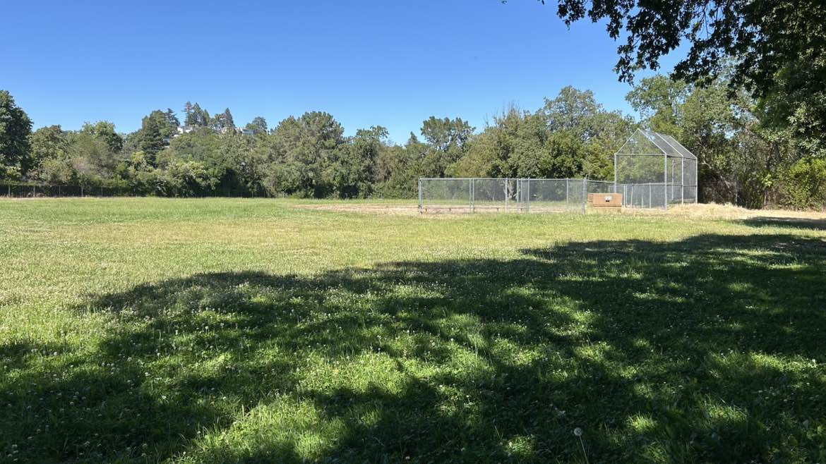 walking near me in Meher Park in summer