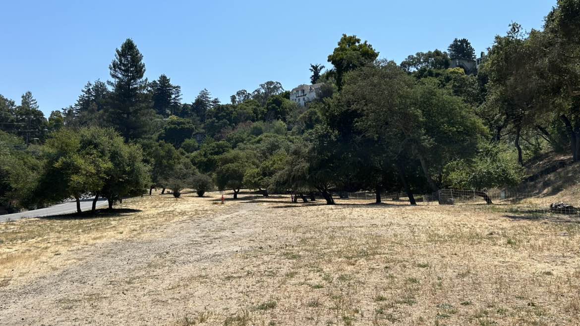 walking near me in Blair Park in summer
