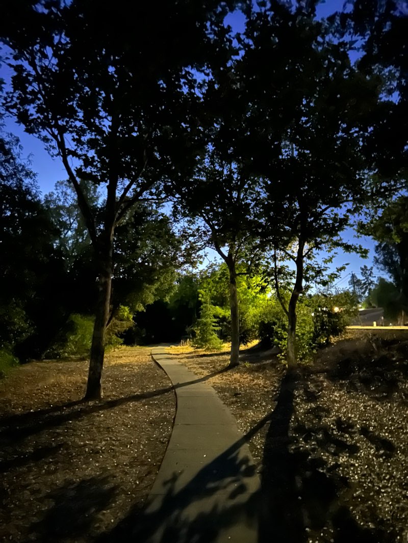 walking near me in Foothills Park in summer