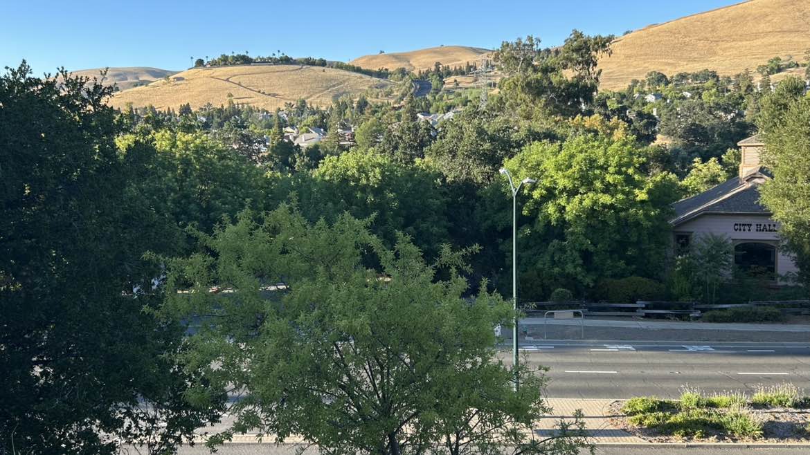 walking near me in Clayton Park in summer
