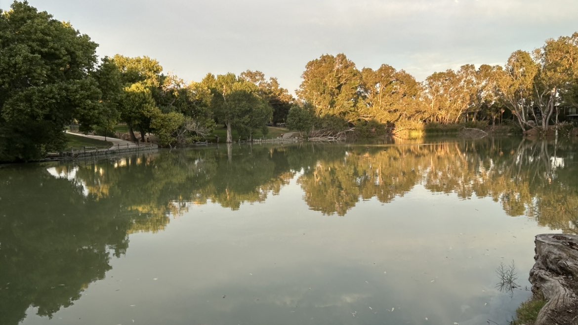 walking near me in Ellis Lake Park in autumn