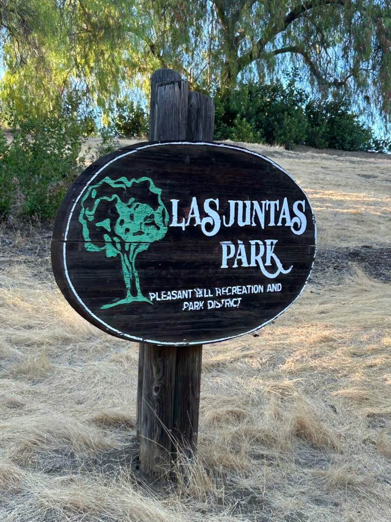 walking near me in Los Juntas Park in autumn