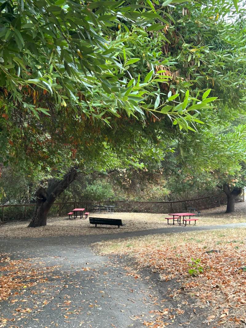 walking near me in Ohlone Park in autumn