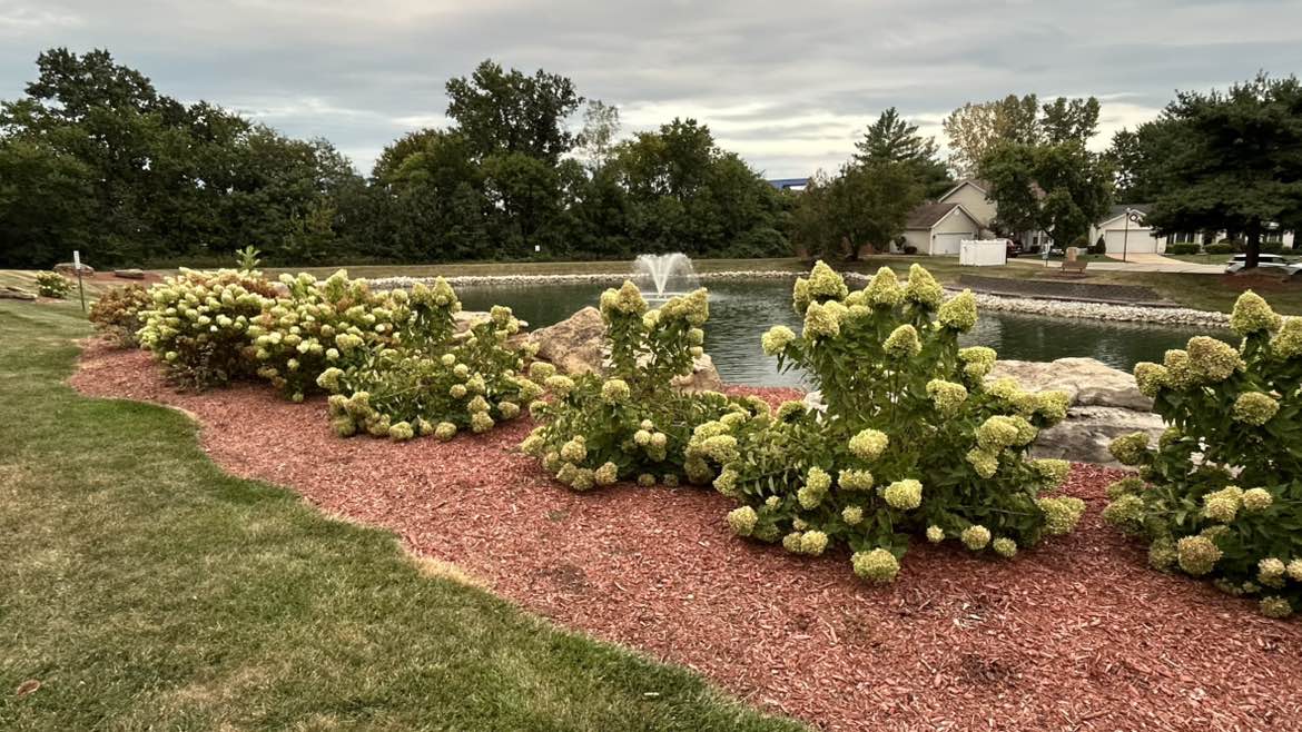 walking near me in RoyallSprings Park South in autumn
