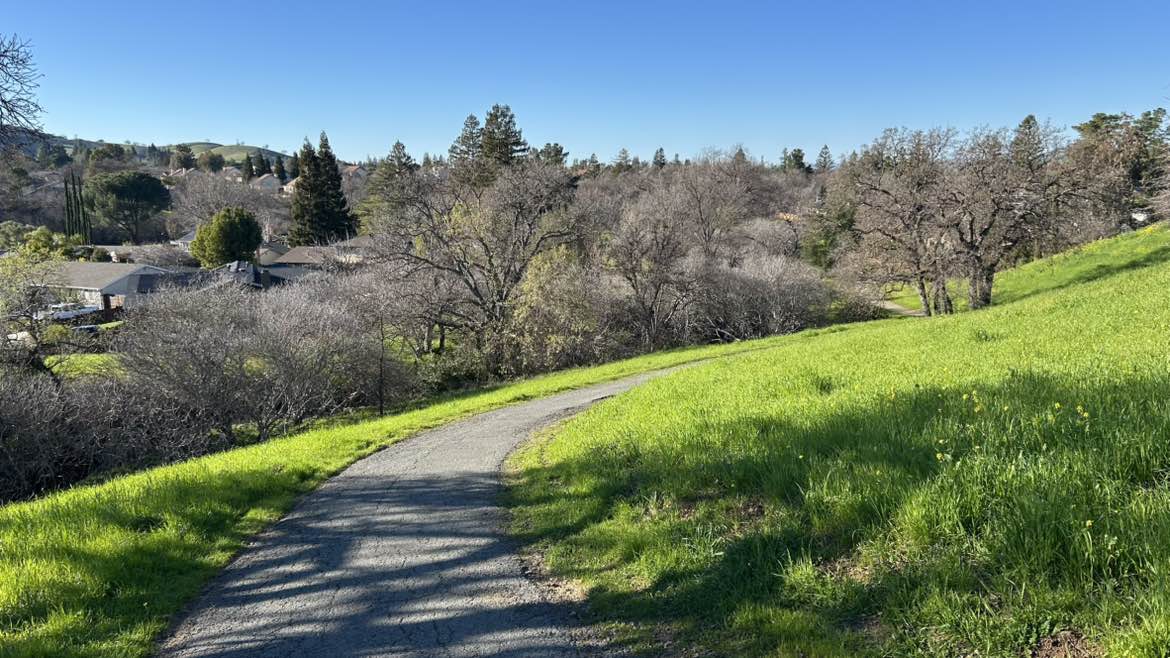 walking near me in Regency Woods Park in winter