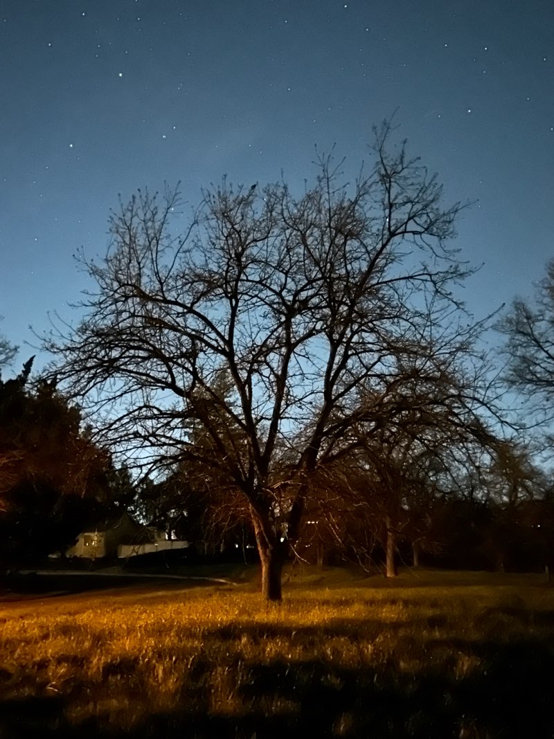 walking near me in Easley Estates Park in winter