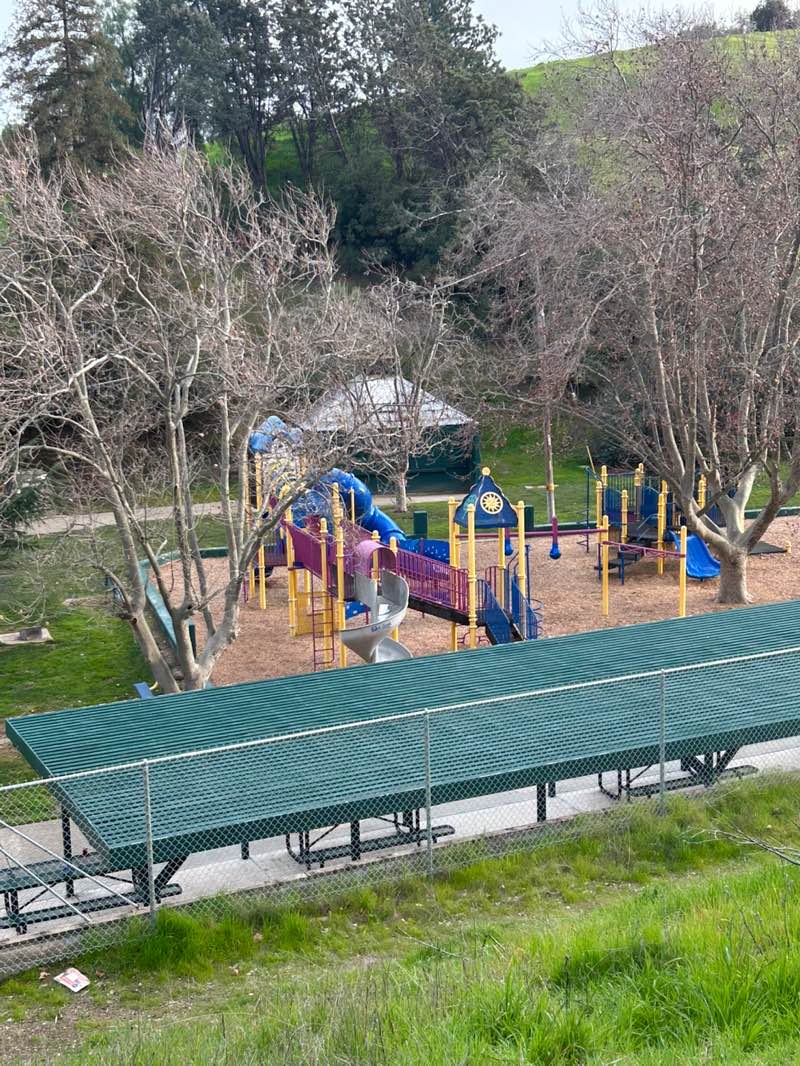 walking near me in Ambrose Park in winter