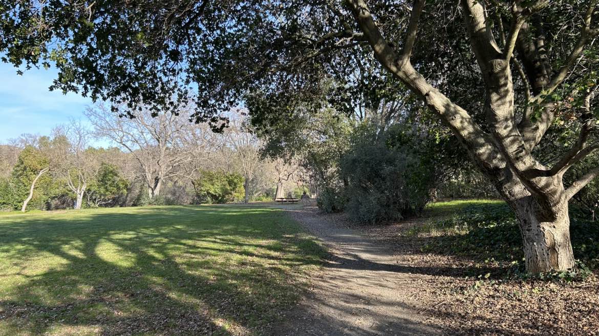 walking near me in Lydia Lane Park in winter