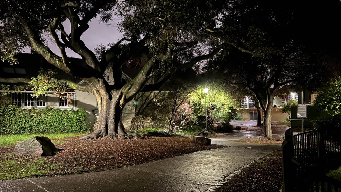 walking near me in Willard Park in winter