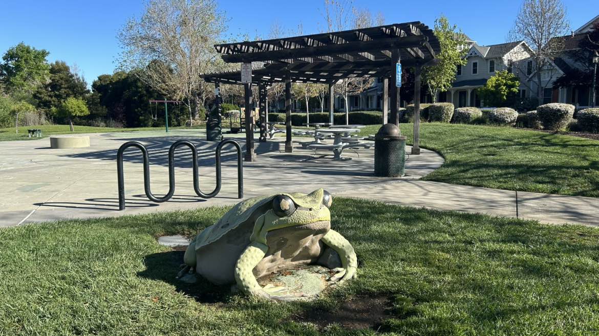 walking near me in Frog Pad Park in spring