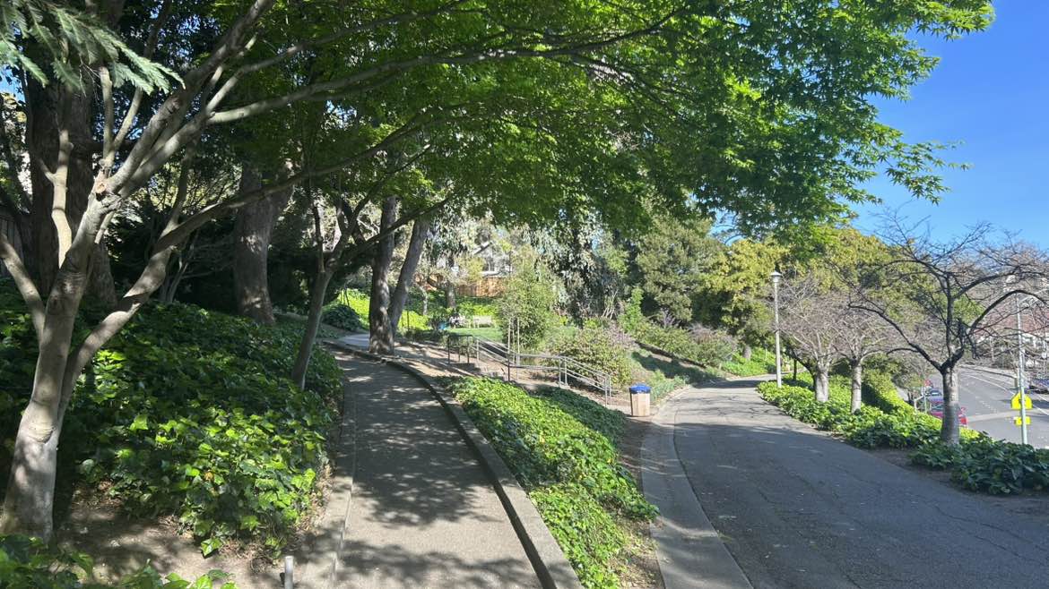 walking near me in Linda Park in spring