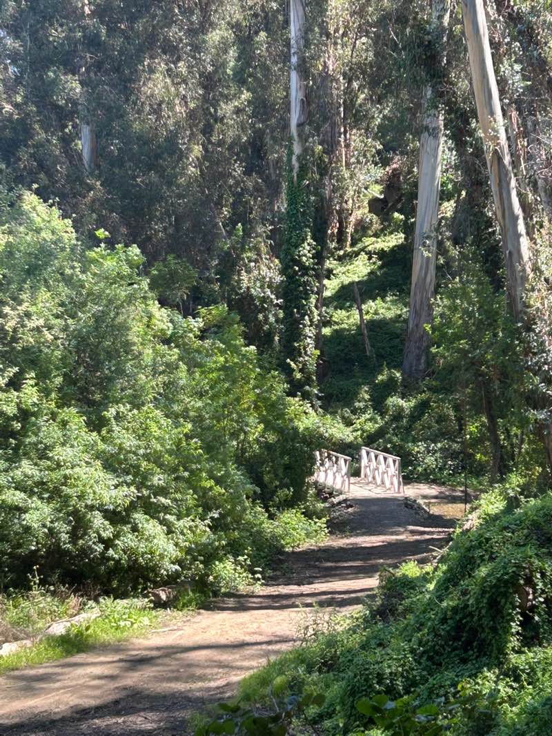 walking near me in Don Castro Regional Recreation Area in spring