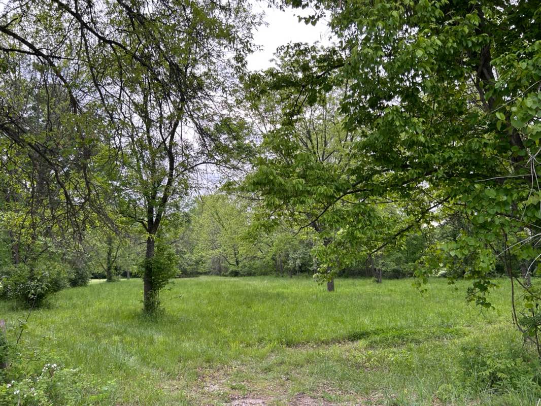 walking near me in Miss Rodeo Missouri Ranch in spring