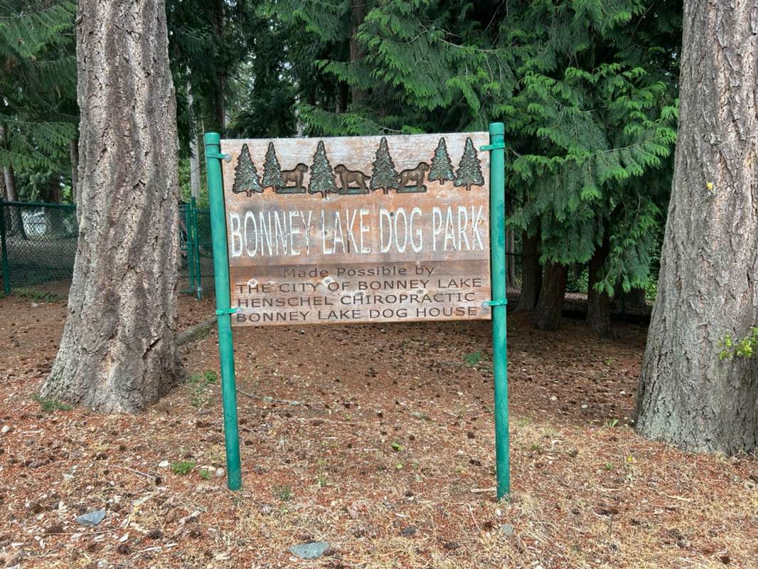 walking near me in Bonney Lake Dog Park in summer